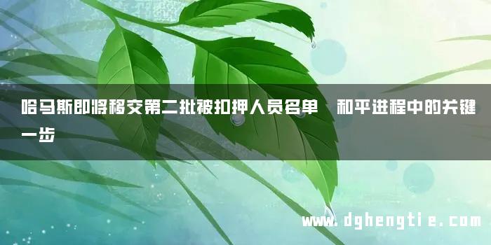 哈马斯即将移交第二批被扣押人员名单 和平进程中的关键一步